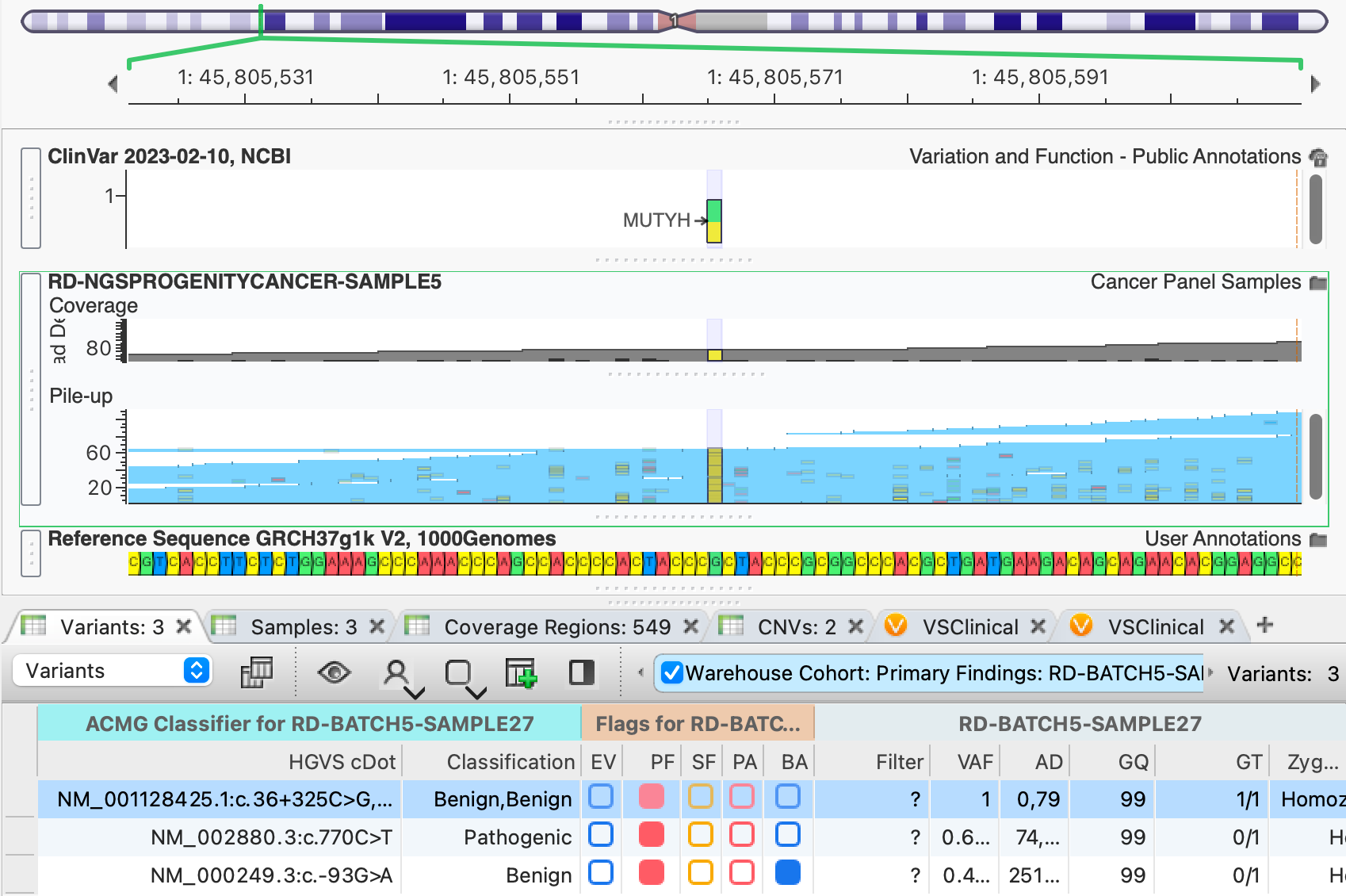 GenomeBrowse Pileup View