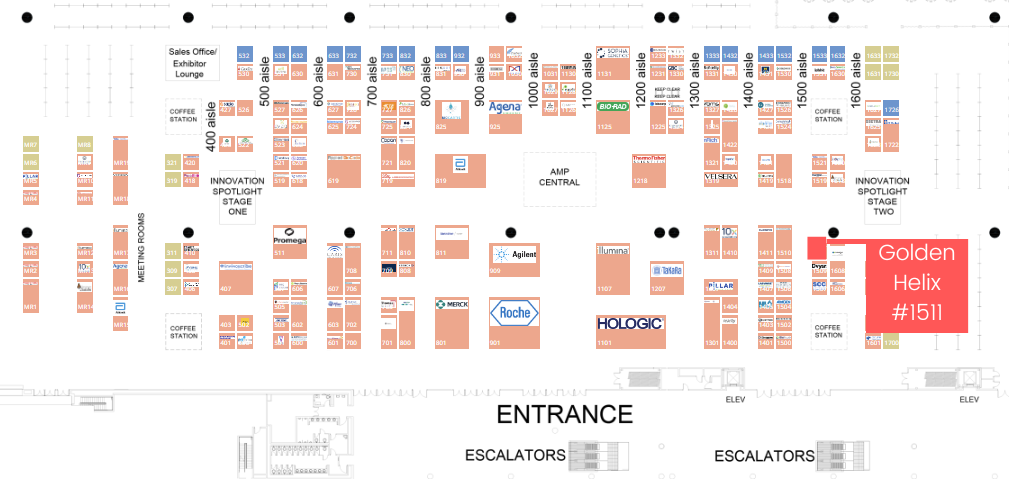 AMP Booth #1511 2024